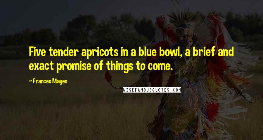 Frances Mayes Quotes: Five tender apricots in a blue bowl, a brief and exact promise of things to come.