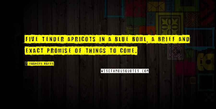 Frances Mayes Quotes: Five tender apricots in a blue bowl, a brief and exact promise of things to come.