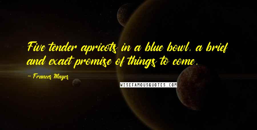 Frances Mayes Quotes: Five tender apricots in a blue bowl, a brief and exact promise of things to come.