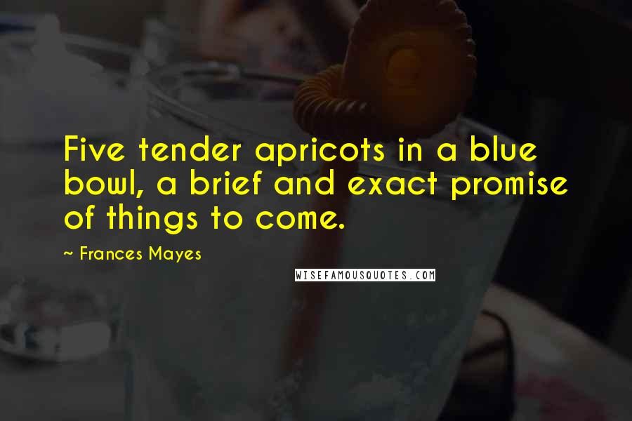 Frances Mayes Quotes: Five tender apricots in a blue bowl, a brief and exact promise of things to come.