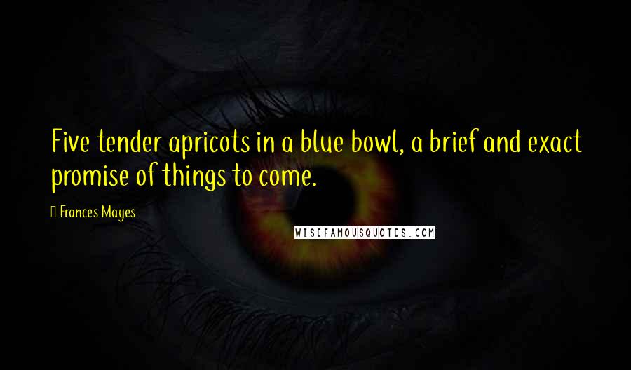 Frances Mayes Quotes: Five tender apricots in a blue bowl, a brief and exact promise of things to come.