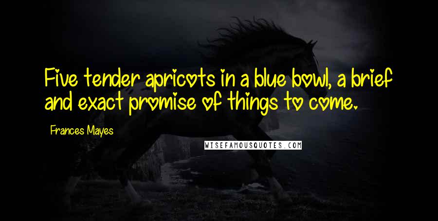 Frances Mayes Quotes: Five tender apricots in a blue bowl, a brief and exact promise of things to come.
