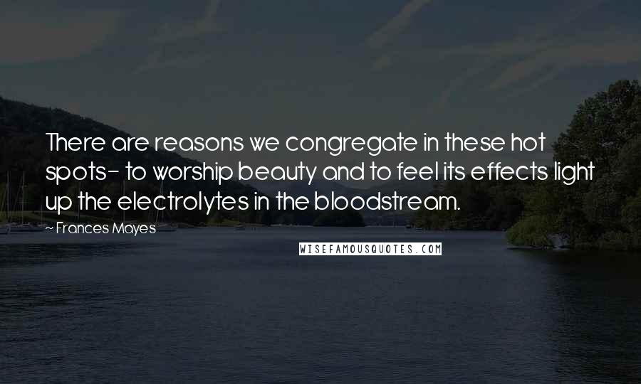 Frances Mayes Quotes: There are reasons we congregate in these hot spots- to worship beauty and to feel its effects light up the electrolytes in the bloodstream.