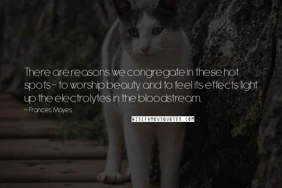 Frances Mayes Quotes: There are reasons we congregate in these hot spots- to worship beauty and to feel its effects light up the electrolytes in the bloodstream.