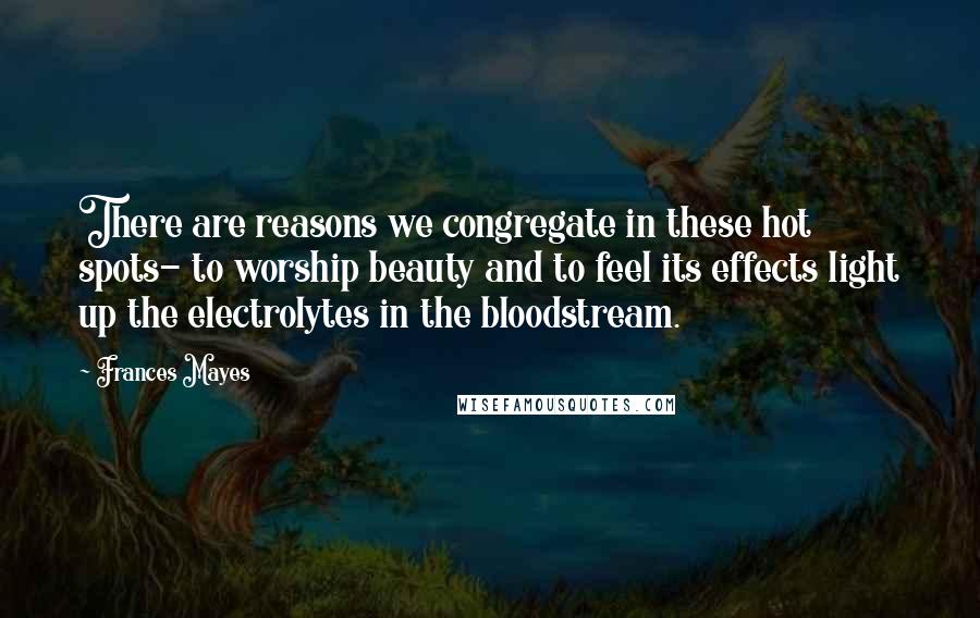 Frances Mayes Quotes: There are reasons we congregate in these hot spots- to worship beauty and to feel its effects light up the electrolytes in the bloodstream.