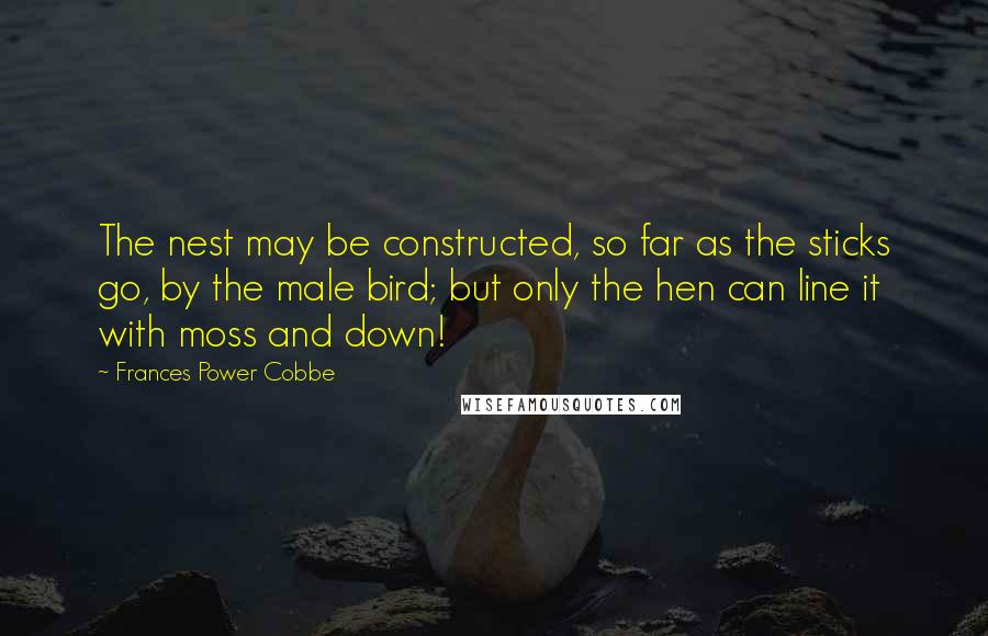 Frances Power Cobbe Quotes: The nest may be constructed, so far as the sticks go, by the male bird; but only the hen can line it with moss and down!