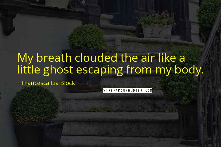 Francesca Lia Block Quotes: My breath clouded the air like a little ghost escaping from my body.