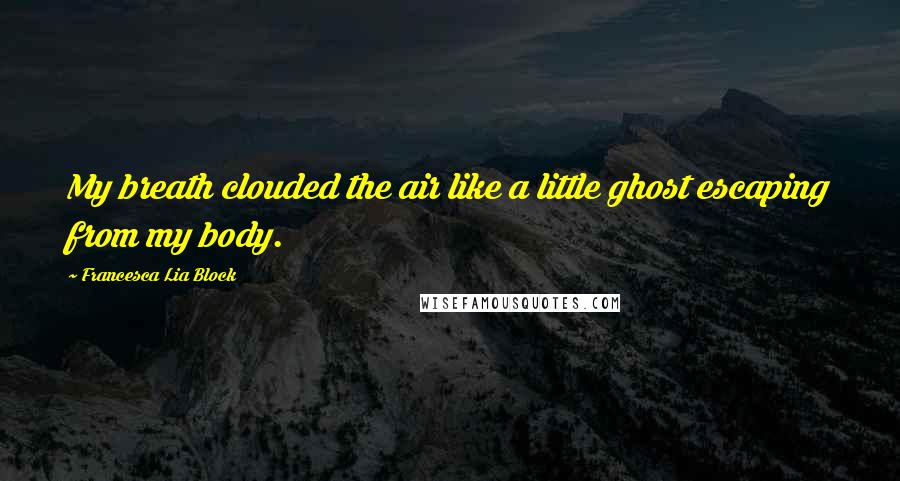 Francesca Lia Block Quotes: My breath clouded the air like a little ghost escaping from my body.