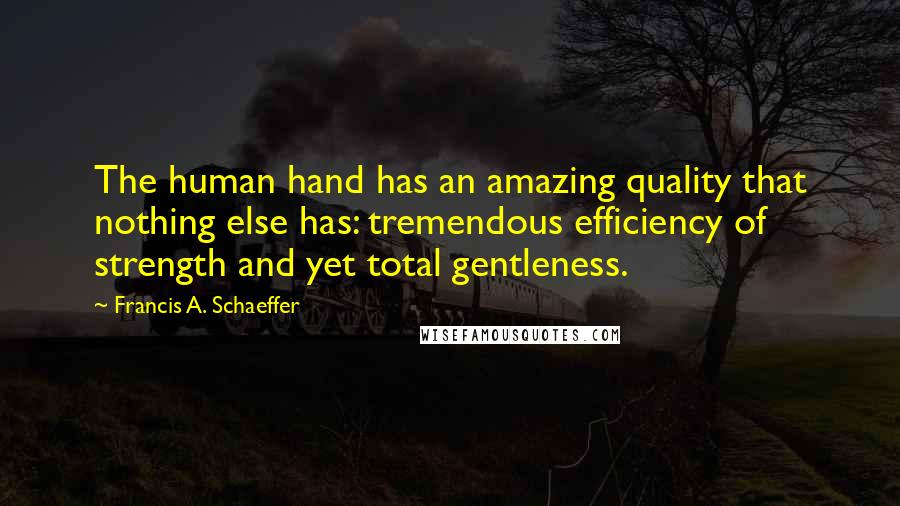 Francis A. Schaeffer Quotes: The human hand has an amazing quality that nothing else has: tremendous efficiency of strength and yet total gentleness.