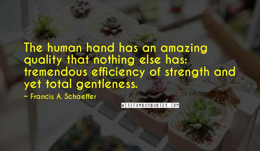 Francis A. Schaeffer Quotes: The human hand has an amazing quality that nothing else has: tremendous efficiency of strength and yet total gentleness.