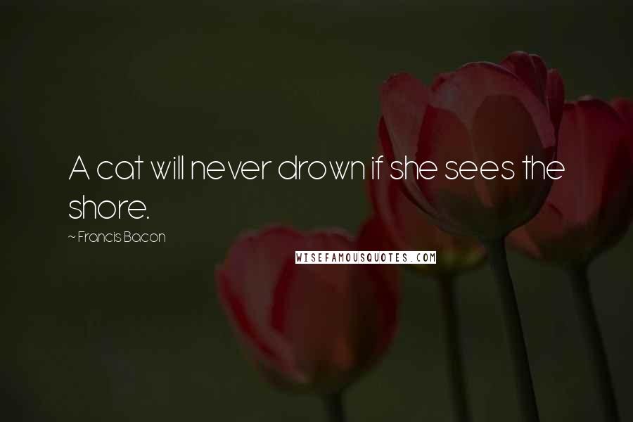 Francis Bacon Quotes: A cat will never drown if she sees the shore.
