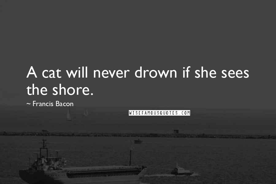 Francis Bacon Quotes: A cat will never drown if she sees the shore.