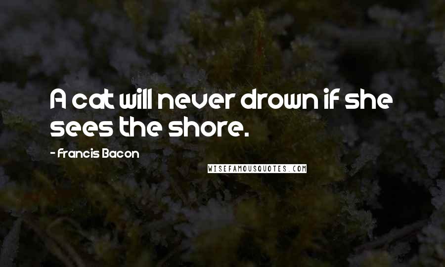 Francis Bacon Quotes: A cat will never drown if she sees the shore.