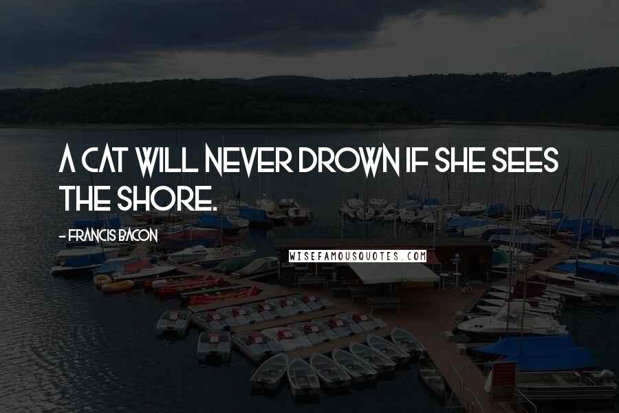 Francis Bacon Quotes: A cat will never drown if she sees the shore.