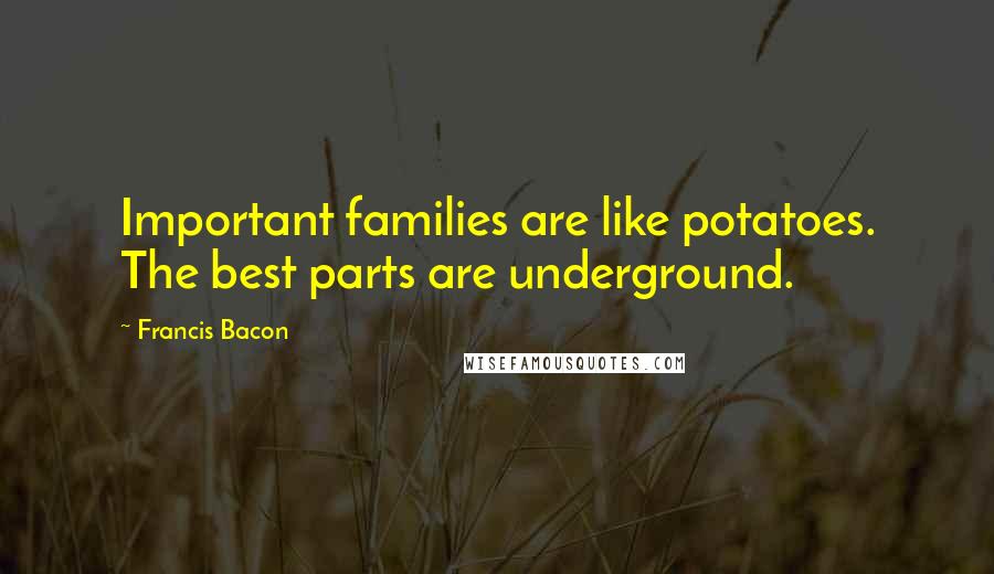 Francis Bacon Quotes: Important families are like potatoes. The best parts are underground.