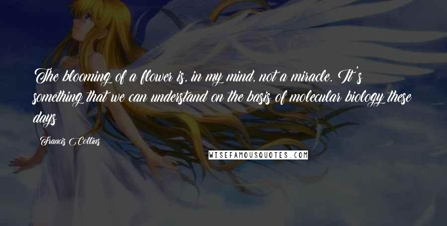 Francis Collins Quotes: The blooming of a flower is, in my mind, not a miracle. It's something that we can understand on the basis of molecular biology these days