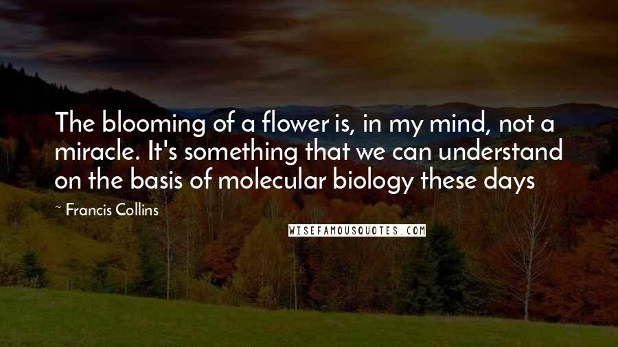 Francis Collins Quotes: The blooming of a flower is, in my mind, not a miracle. It's something that we can understand on the basis of molecular biology these days