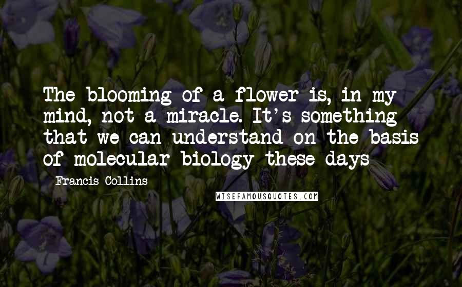 Francis Collins Quotes: The blooming of a flower is, in my mind, not a miracle. It's something that we can understand on the basis of molecular biology these days