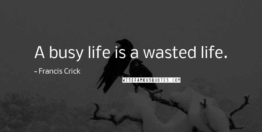 Francis Crick Quotes: A busy life is a wasted life.