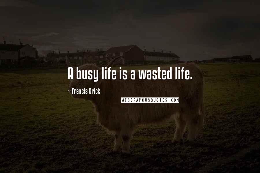 Francis Crick Quotes: A busy life is a wasted life.