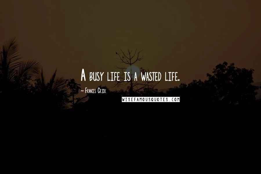 Francis Crick Quotes: A busy life is a wasted life.