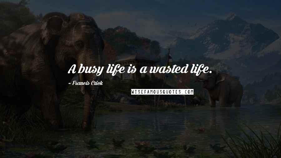 Francis Crick Quotes: A busy life is a wasted life.