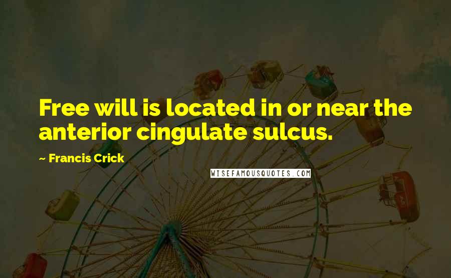 Francis Crick Quotes: Free will is located in or near the anterior cingulate sulcus.