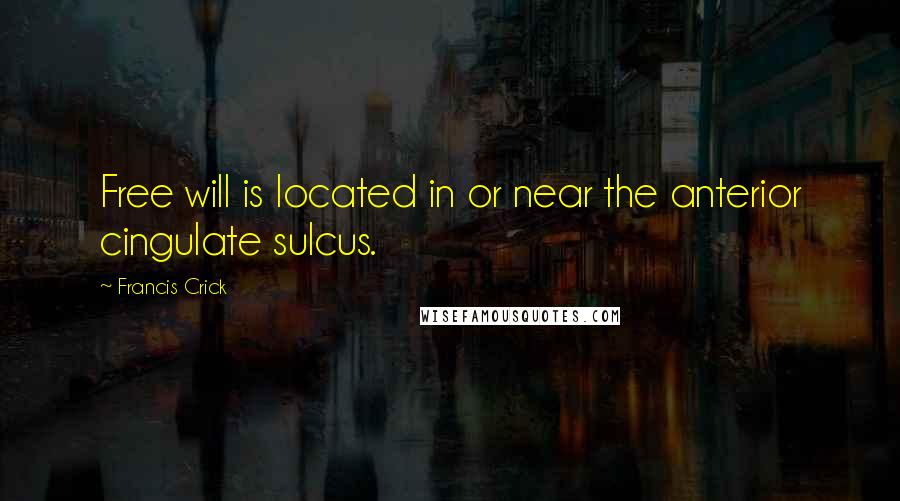 Francis Crick Quotes: Free will is located in or near the anterior cingulate sulcus.