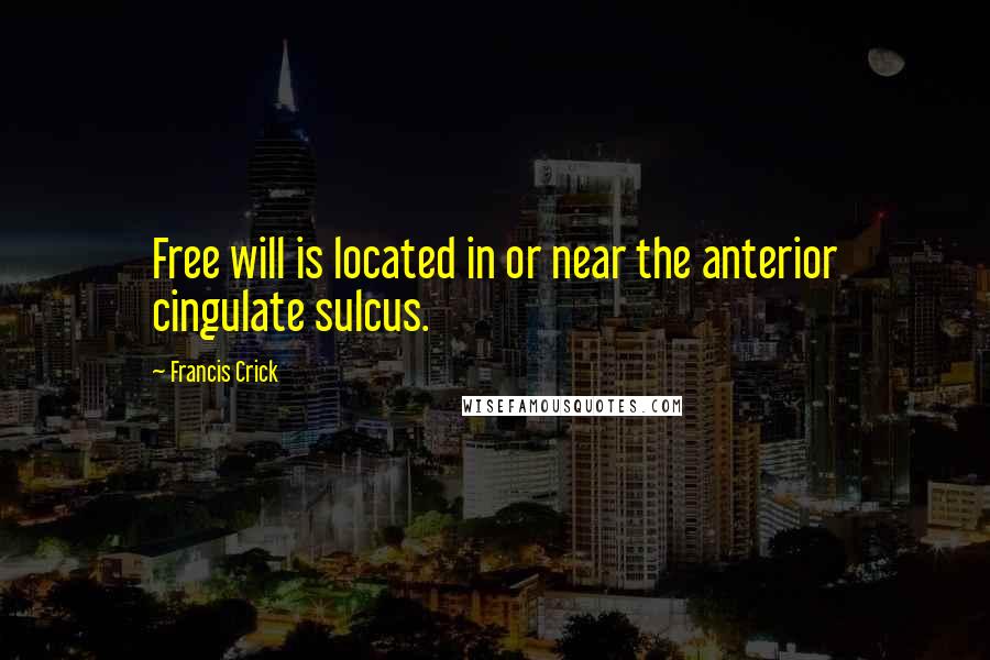 Francis Crick Quotes: Free will is located in or near the anterior cingulate sulcus.