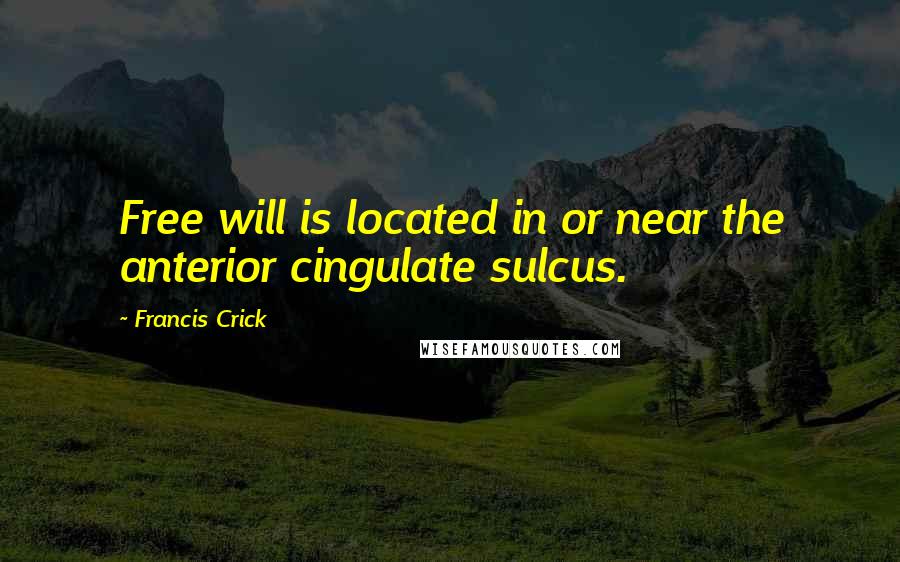 Francis Crick Quotes: Free will is located in or near the anterior cingulate sulcus.
