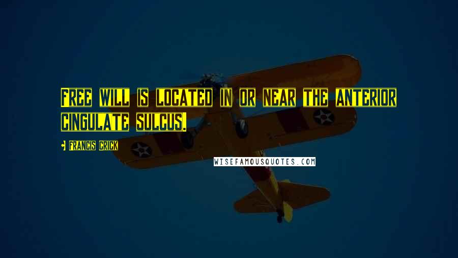 Francis Crick Quotes: Free will is located in or near the anterior cingulate sulcus.