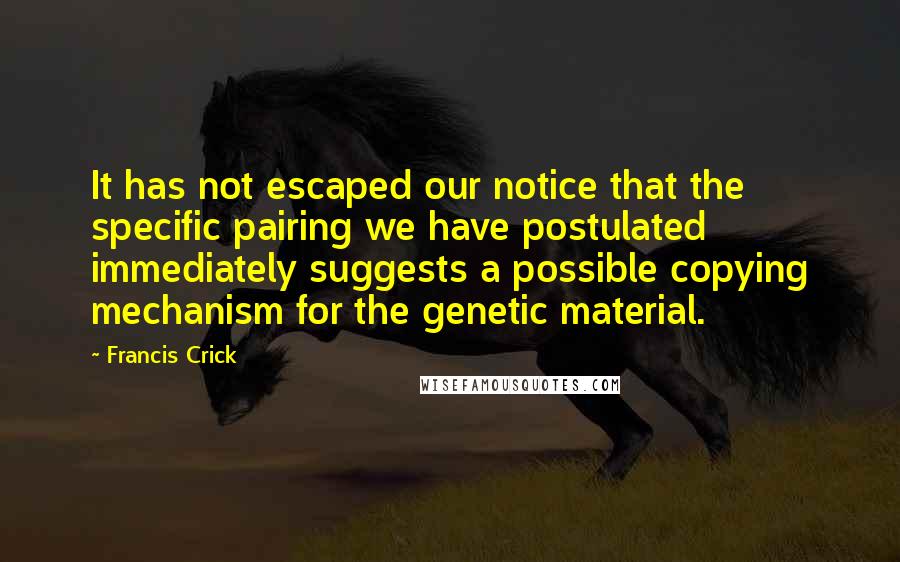 Francis Crick Quotes: It has not escaped our notice that the specific pairing we have postulated immediately suggests a possible copying mechanism for the genetic material.