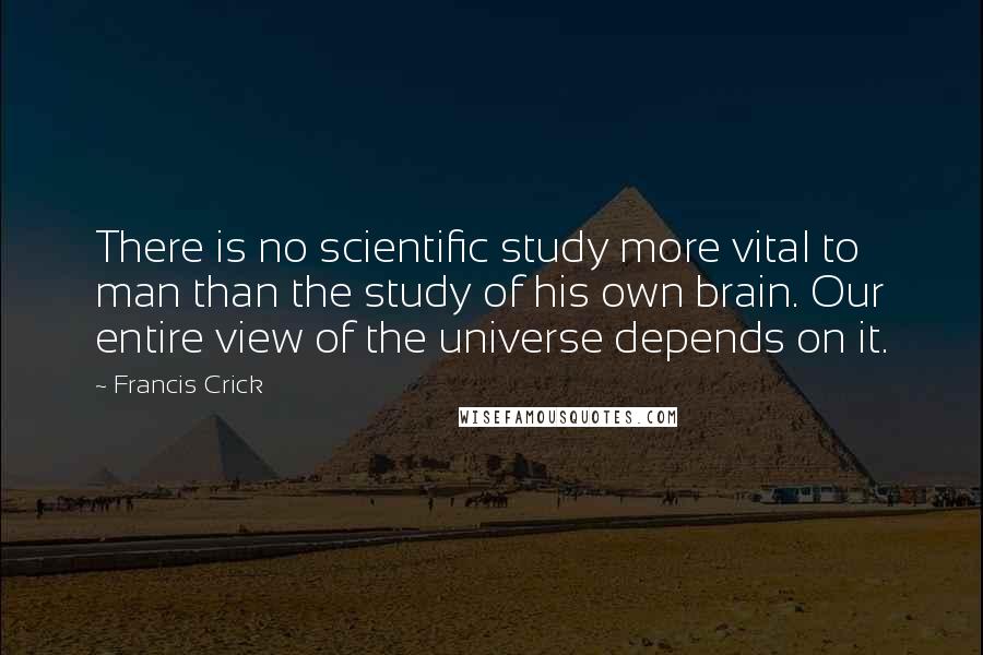 Francis Crick Quotes: There is no scientific study more vital to man than the study of his own brain. Our entire view of the universe depends on it.