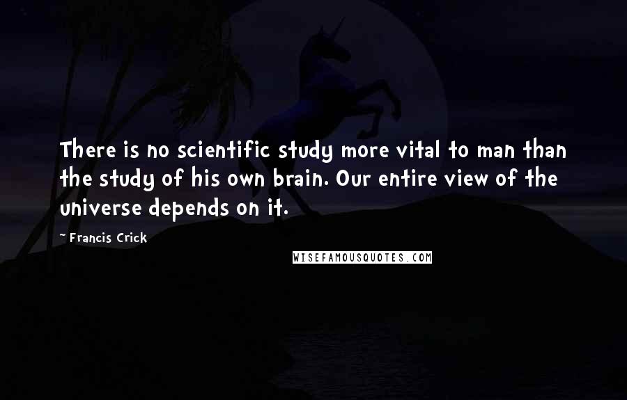 Francis Crick Quotes: There is no scientific study more vital to man than the study of his own brain. Our entire view of the universe depends on it.