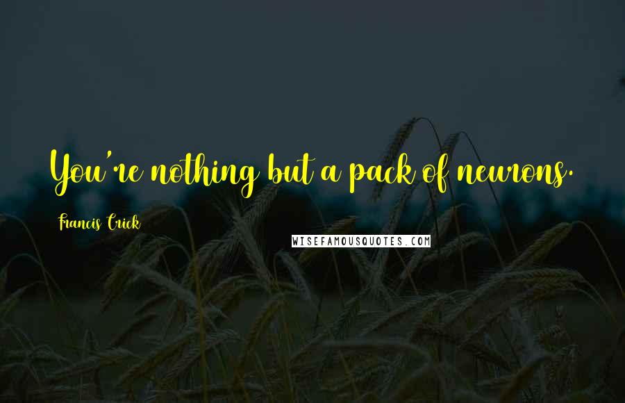 Francis Crick Quotes: You're nothing but a pack of neurons.