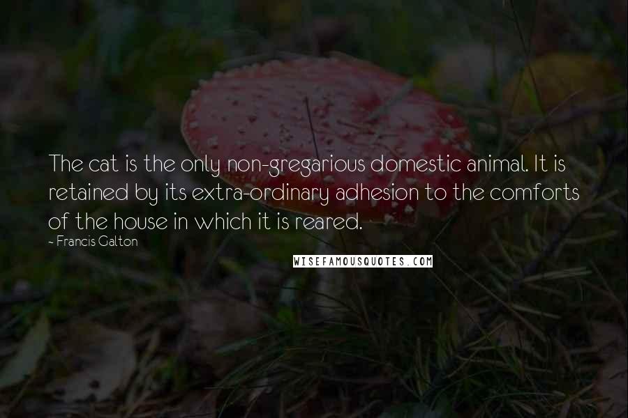 Francis Galton Quotes: The cat is the only non-gregarious domestic animal. It is retained by its extra-ordinary adhesion to the comforts of the house in which it is reared.