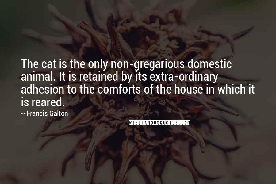 Francis Galton Quotes: The cat is the only non-gregarious domestic animal. It is retained by its extra-ordinary adhesion to the comforts of the house in which it is reared.