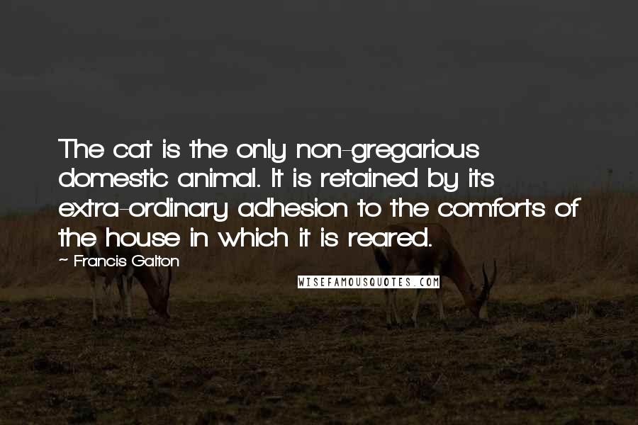 Francis Galton Quotes: The cat is the only non-gregarious domestic animal. It is retained by its extra-ordinary adhesion to the comforts of the house in which it is reared.