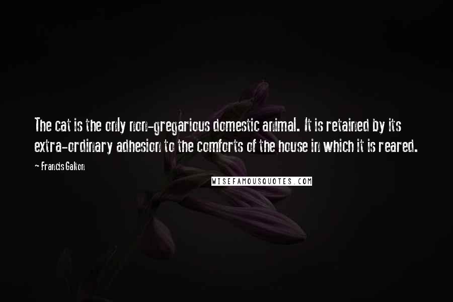 Francis Galton Quotes: The cat is the only non-gregarious domestic animal. It is retained by its extra-ordinary adhesion to the comforts of the house in which it is reared.