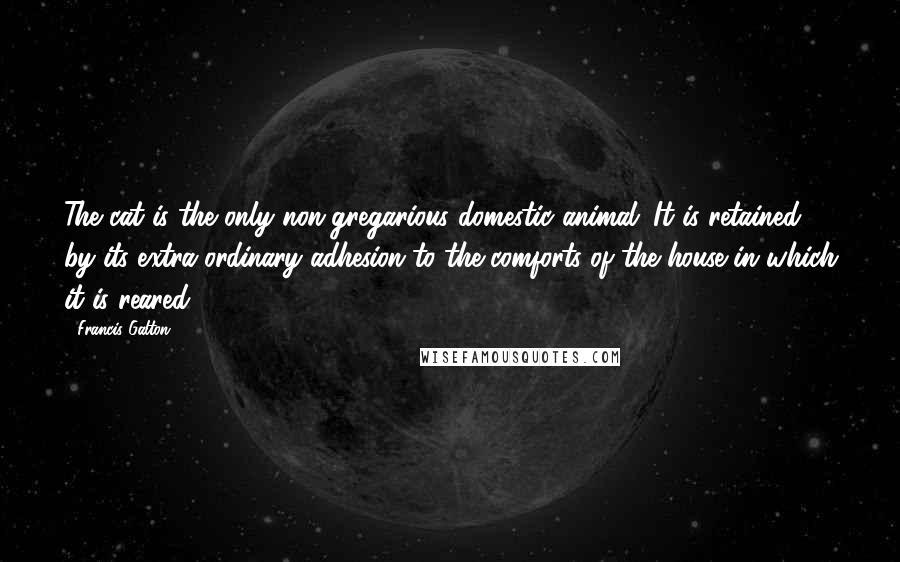 Francis Galton Quotes: The cat is the only non-gregarious domestic animal. It is retained by its extra-ordinary adhesion to the comforts of the house in which it is reared.