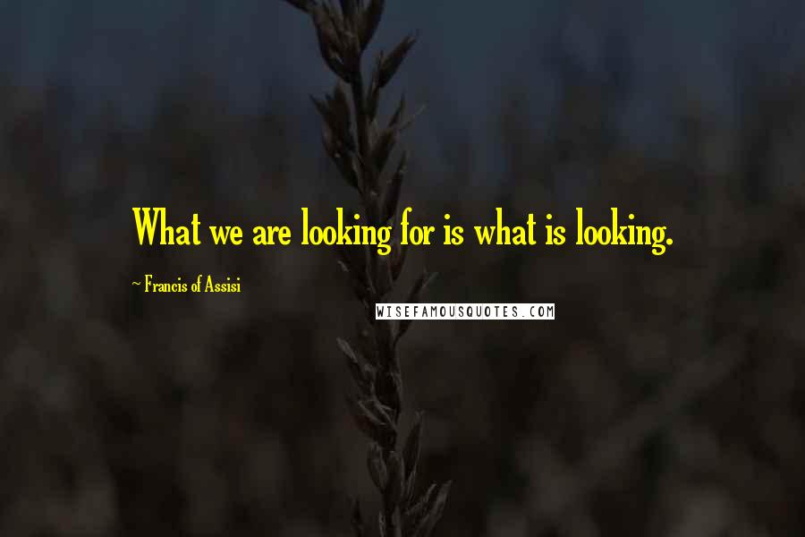 Francis Of Assisi Quotes: What we are looking for is what is looking.