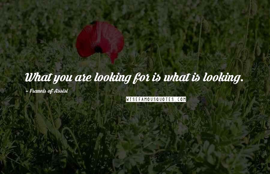 Francis Of Assisi Quotes: What you are looking for is what is looking.