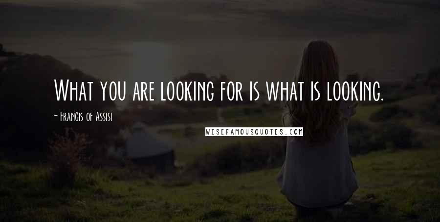 Francis Of Assisi Quotes: What you are looking for is what is looking.