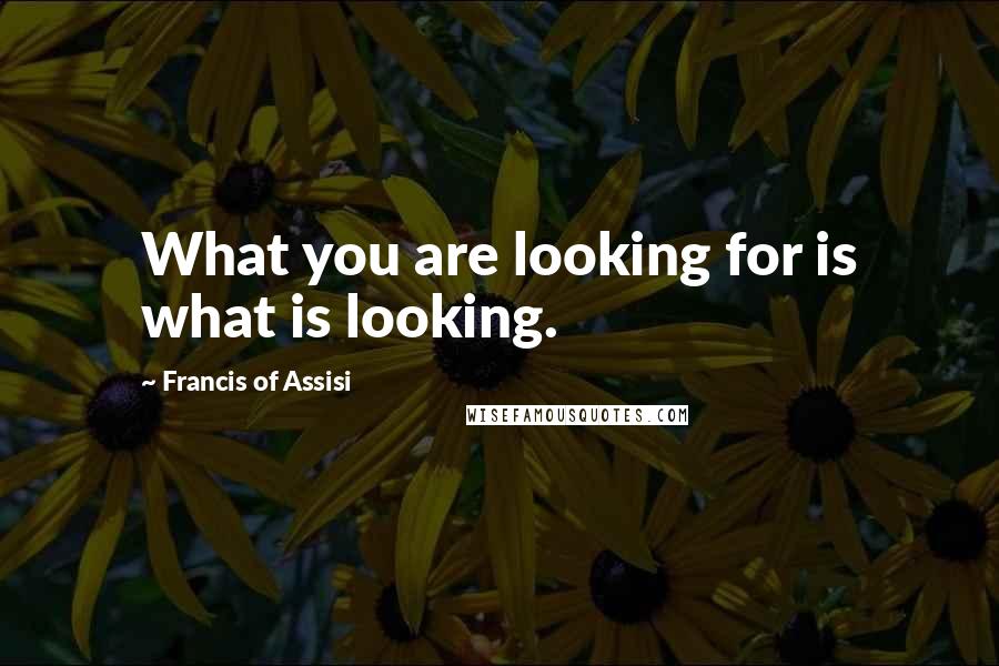 Francis Of Assisi Quotes: What you are looking for is what is looking.