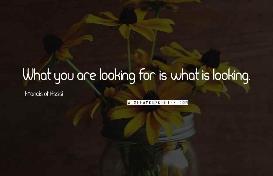 Francis Of Assisi Quotes: What you are looking for is what is looking.