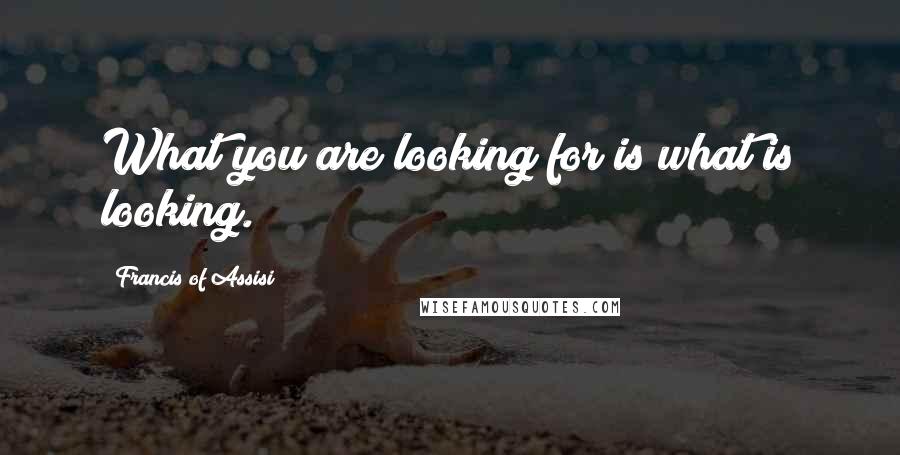 Francis Of Assisi Quotes: What you are looking for is what is looking.