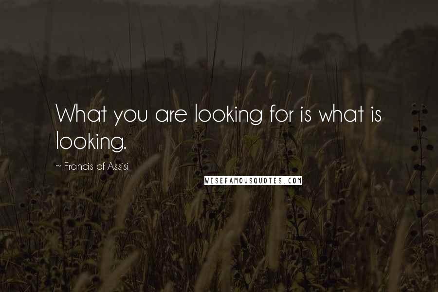 Francis Of Assisi Quotes: What you are looking for is what is looking.