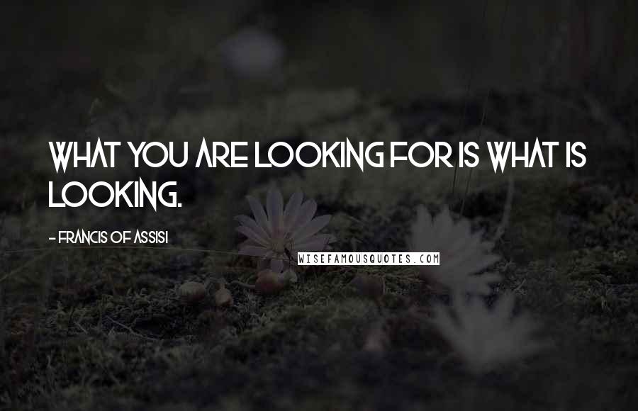 Francis Of Assisi Quotes: What you are looking for is what is looking.