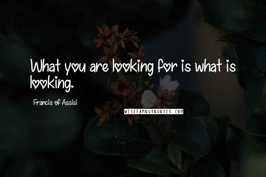 Francis Of Assisi Quotes: What you are looking for is what is looking.