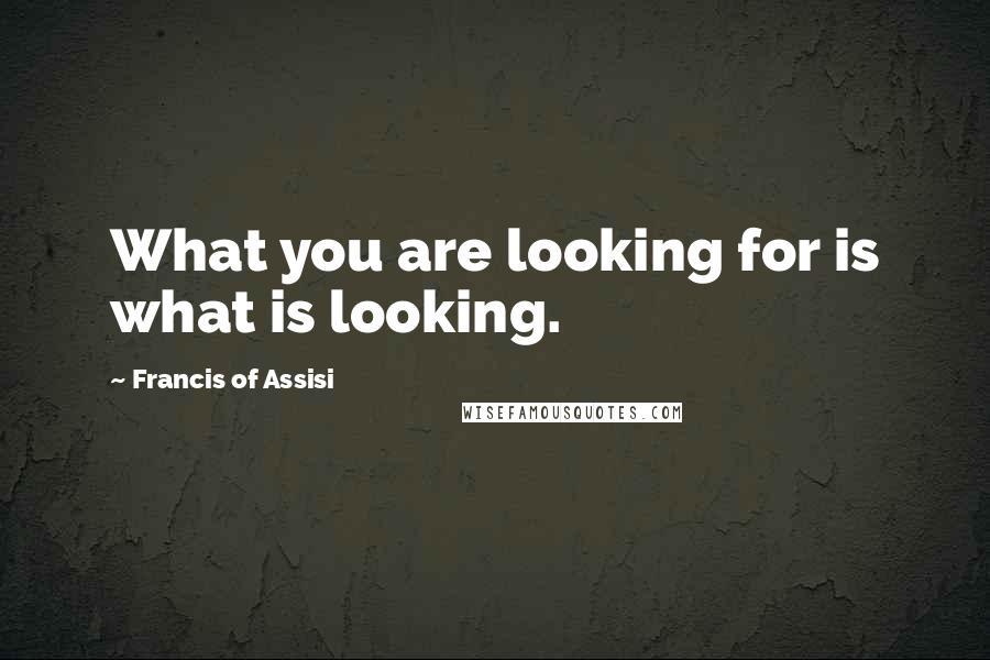 Francis Of Assisi Quotes: What you are looking for is what is looking.